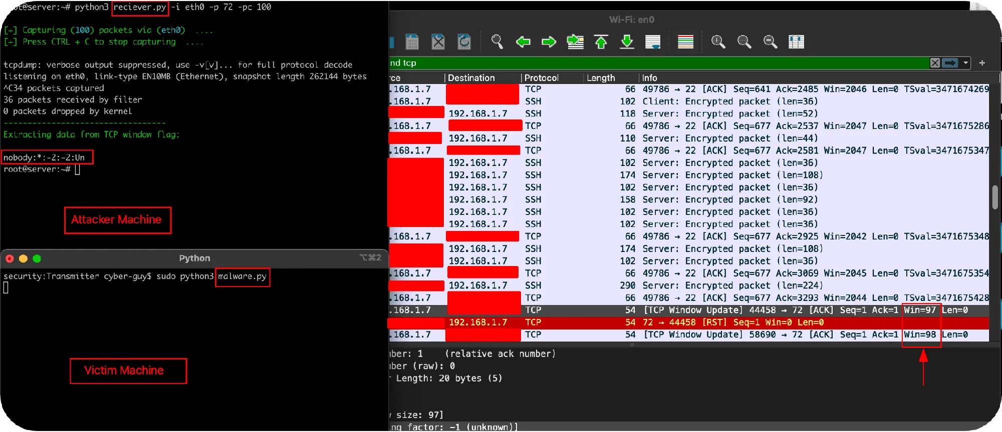 Terminals and packet capture showing the exfiltration script running